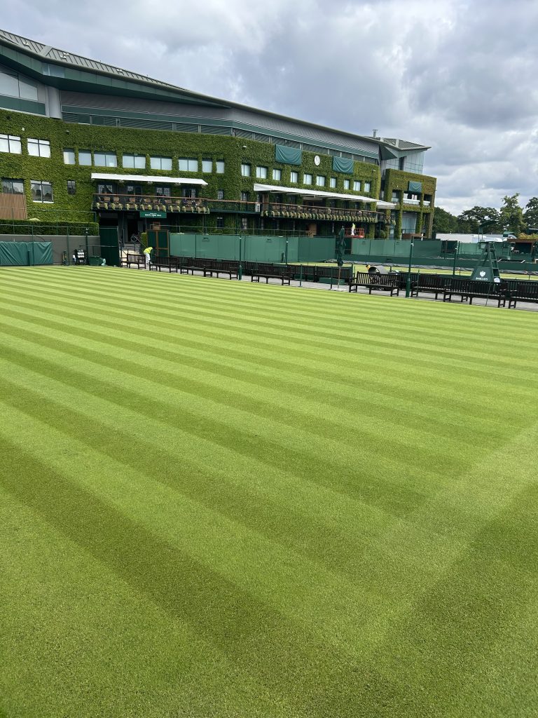 wimbledon turf surface